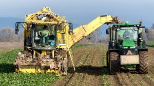 Turnip, vegetables, harvest — "Boost Your Forex Strategy with an MT4 Trading Bot"
